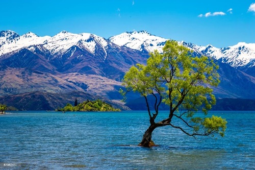 Must-Visit New Zealand Tourist Attractions in 2023
